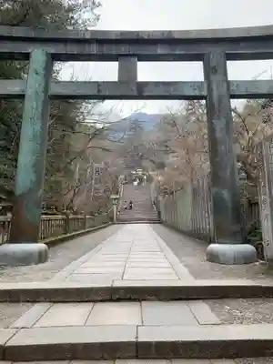 金刀比羅宮の鳥居