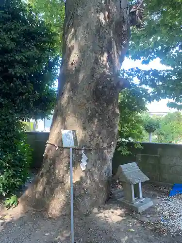 三島八幡神社(福島県)