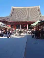 浅草寺の本殿