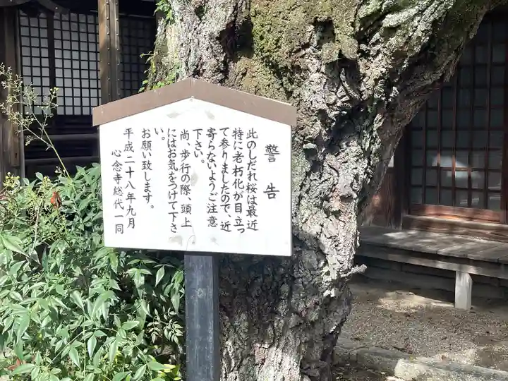 心念寺(三重県)