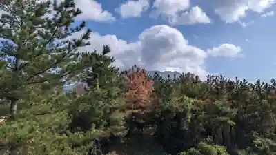 月讀神社(鹿児島県)