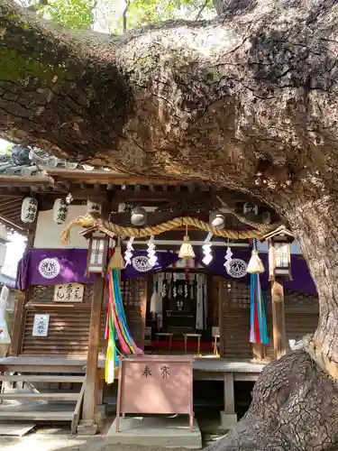 三島神社の本殿・本堂