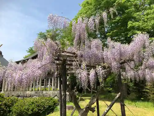 春日神社(山形県)