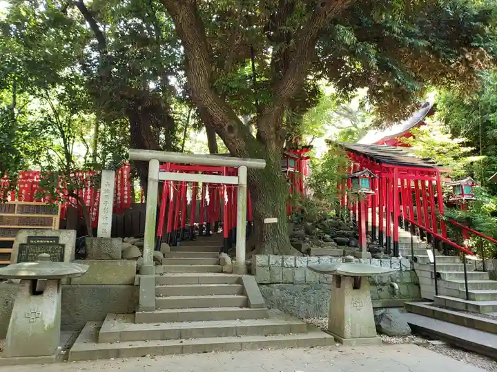 乃木神社の鳥居