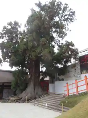 春日大社(奈良県)
