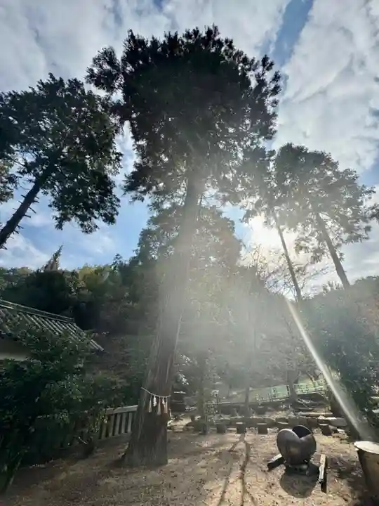 早瀧比咩神社(岡山県)