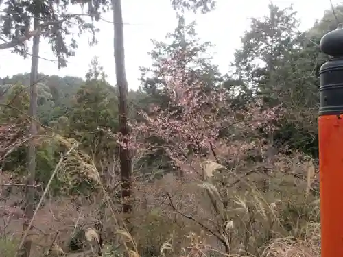 石山寺(滋賀県)