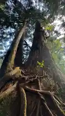 玉置神社(奈良県)