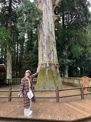 霧島神宮(鹿児島県)