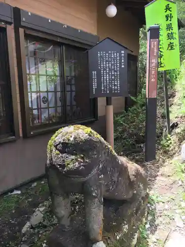 熊野皇大神社の狛犬