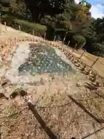 仁徳天皇陵(百舌鳥耳原中陵)(大阪府)