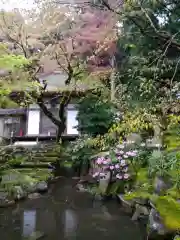 金剛輪寺(滋賀県)