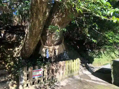 槵觸神社の自然