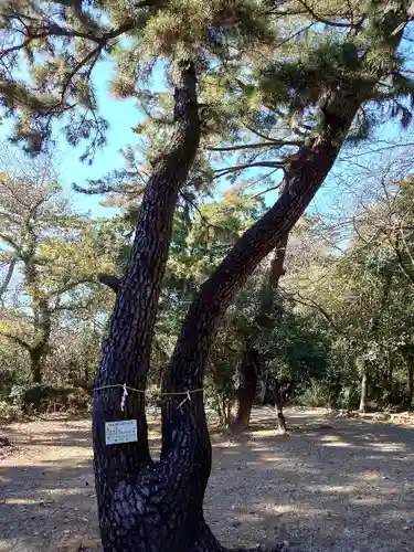木庭八幡社(愛知県)