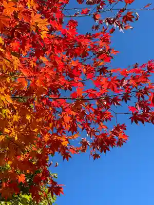 高野山金剛峯寺(和歌山県)