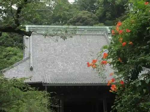 妙本寺の景色