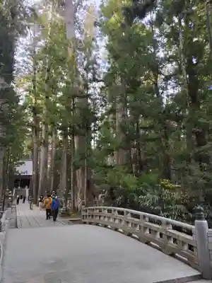 高野山金剛峯寺奥の院(和歌山県)
