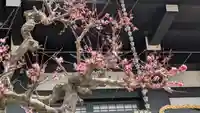 妙本寺(大阪府)