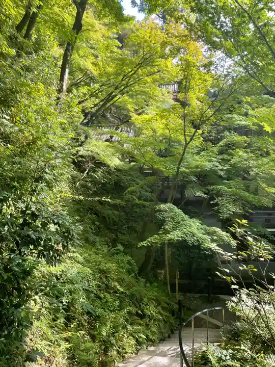 禅林寺(永観堂)(京都府)