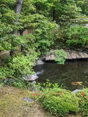 大雄院(京都府)