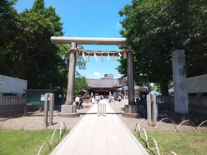 浅草神社の鳥居
