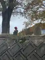 青柳観音堂(福島県)