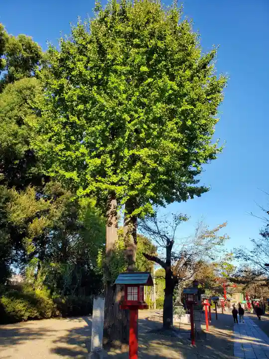 鷲宮神社(埼玉県)