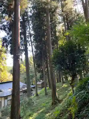 大宮温泉神社(栃木県)