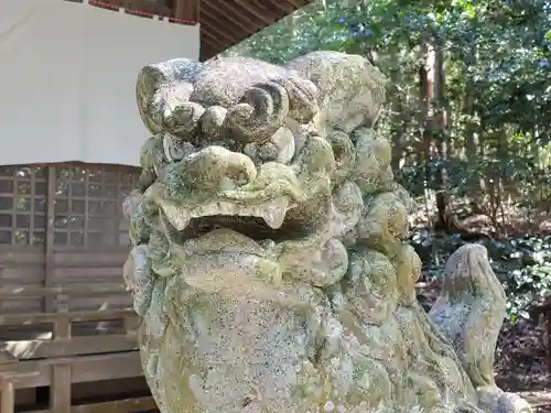 八多神社の狛犬