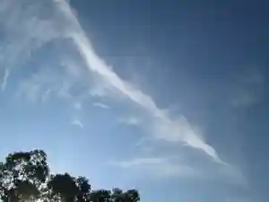 屋久島大社の自然(2022年11月10日(木) 13時58分08秒投稿)