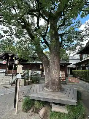 晴明神社(京都府)