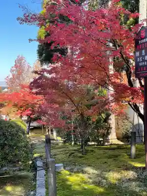 酬恩庵一休寺(京都府)