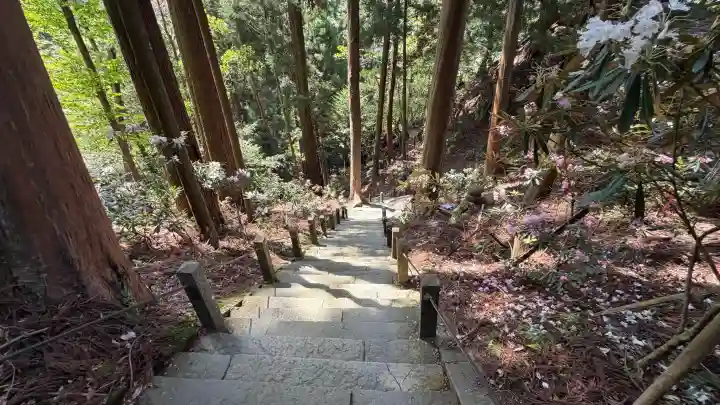 室生寺奥の院の{uncategorized: "未分類", other: "その他", undefined: "問題あり", building: "その他建物", grave: "お墓", sacred_gate: "鳥居", guardian: "狛犬", statue: "像", buddha: "仏像", history: "歴史", nature: "自然", garden: "庭園", animal: "動物", pagoda: "塔", temizu: "手水舎", mountain_gate: "山門・神門", sanctuary: "本殿・本堂", subordinate: "末社・摂社", art: "芸術", scenery: "景色", jizo: "地蔵", ema: "絵馬", goshuin: "御朱印", omikuji: "おみくじ", items: "授与品その他", amulet: "お守り", goshuincho: "御朱印帳", eats: "食事", festival: "お祭り", votive_dance: "神楽", shichigosan: "七五三参", wedding: "結婚式", experience: "体験その他", initially: "初詣", around: "周辺", anti_infection: "感染症対策"}