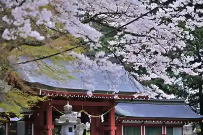 冨士御室浅間神社(山梨県)