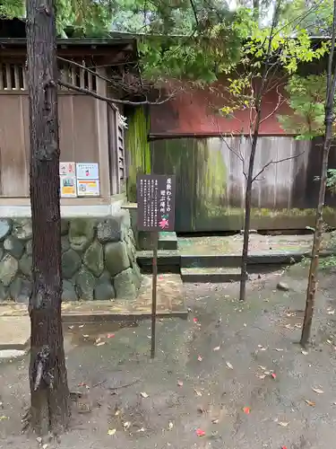 鶴嶺八幡宮(神奈川県)
