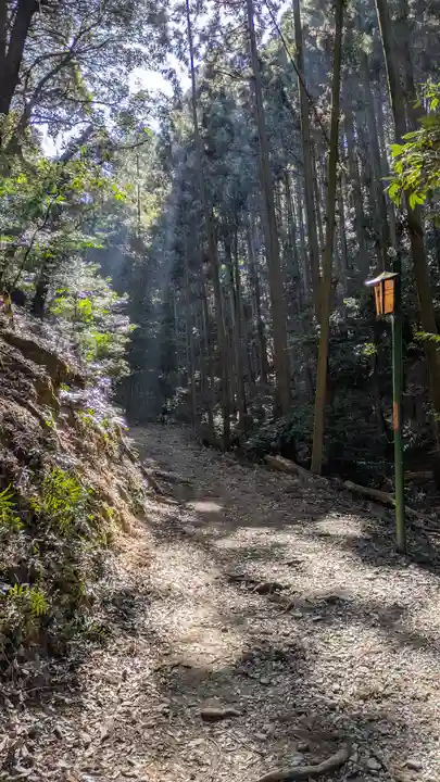 醍醐寺(上醍醐)(京都府)