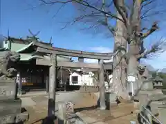 春日神社の鳥居