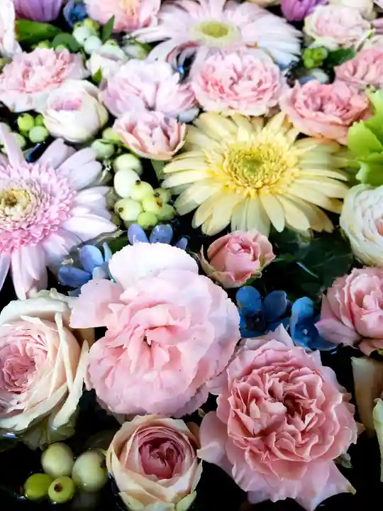 高円寺氷川神社の手水舎