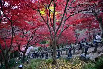 大山寺(神奈川県)