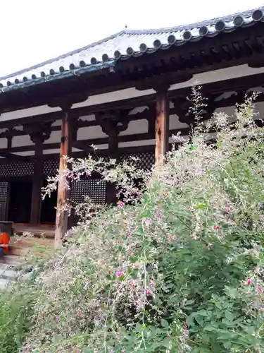 元興寺の本殿・本堂