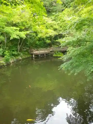 鶴岡八幡宮の庭園