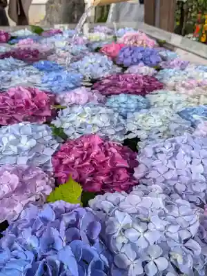 桜神宮(東京都)
