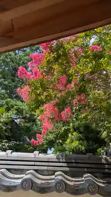 大應寺(大応寺)(京都府)