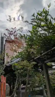 香雪院(京都府)