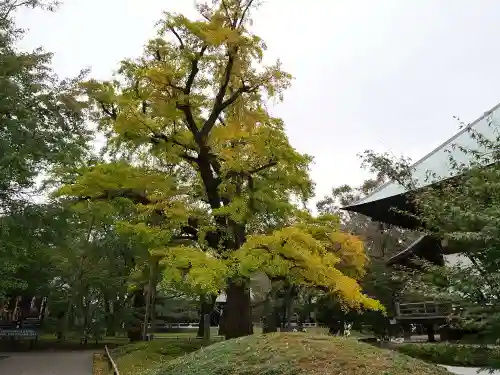 淨眞寺の庭園