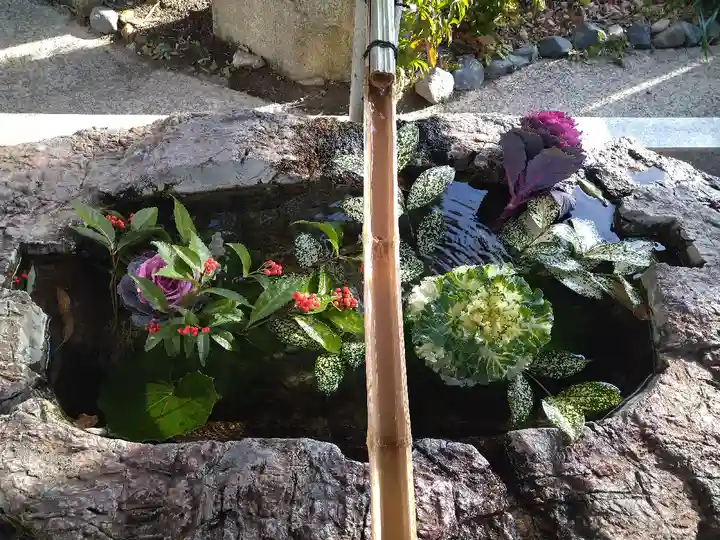 阿智神社の手水舎