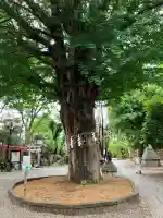 鳩森八幡神社(東京都)