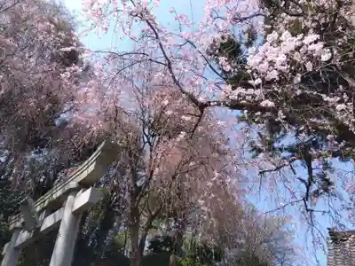 熊野神社(福井県)