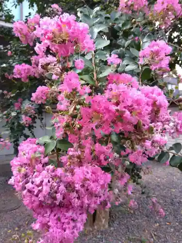 称名寺(福井県)