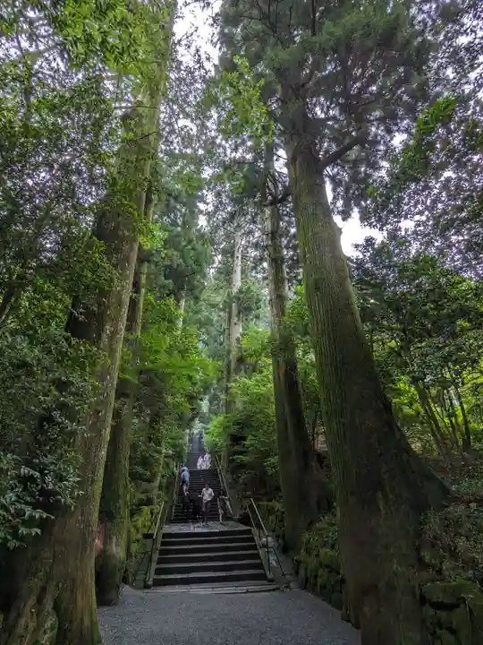 箱根神社(神奈川県)